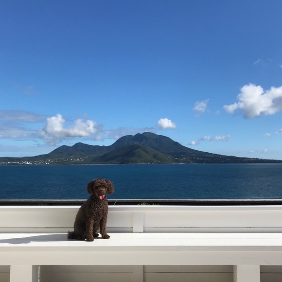 Meet your Posher, Michelle - Picture 1 of 1